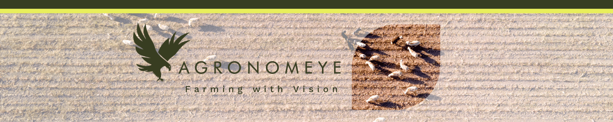 Banner (1500 × 300mm)